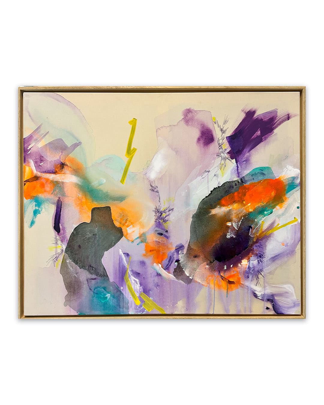 alexander lis